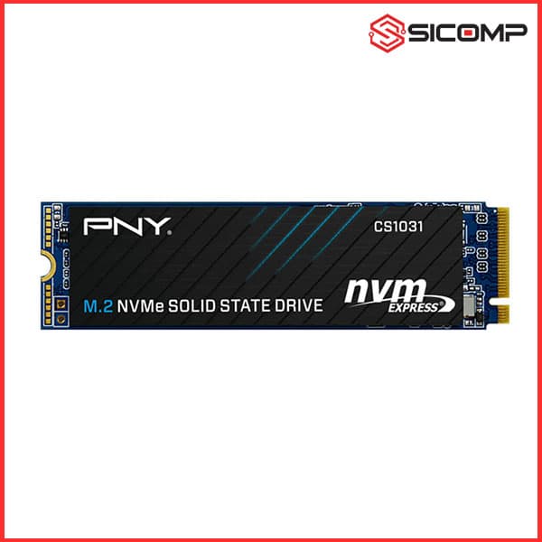 Ổ CỨNG SSD PNY CS1031 M.2 2280 NVME 256GB