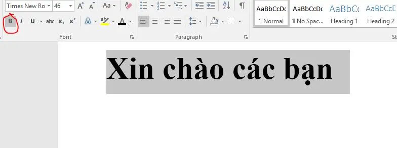 Viêt chữ in đậm