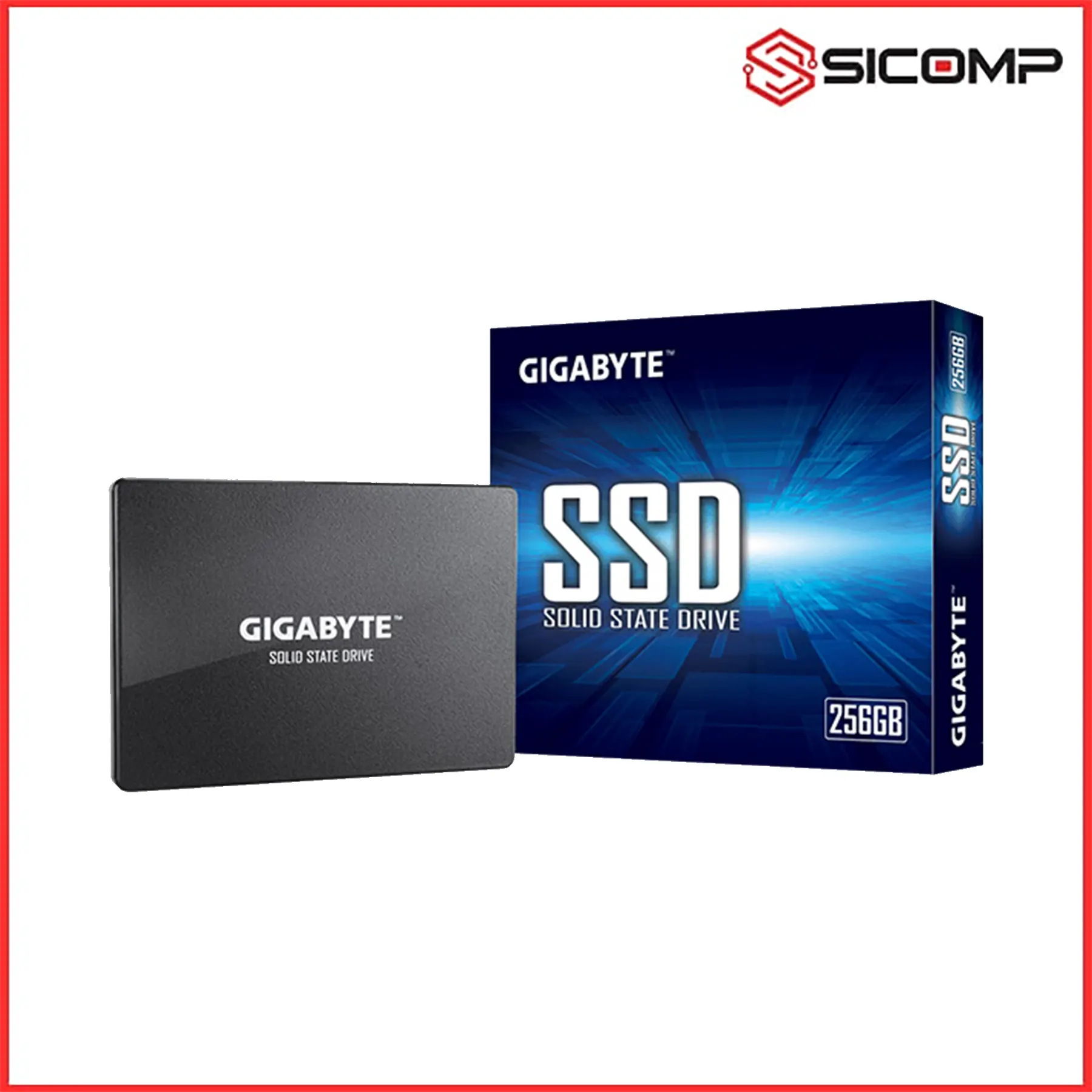 Ổ CỨNG SSD GIGABYTE GP-GSTFS31256GTND 256GB, Picture 1