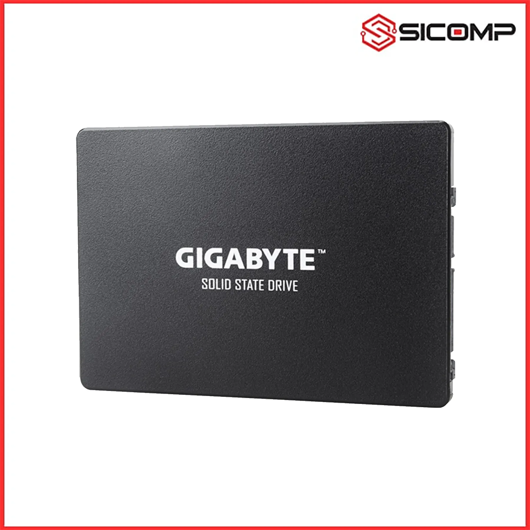 Ổ CỨNG SSD GIGABYTE GP-GSTFS31256GTND 256GB, Picture 2