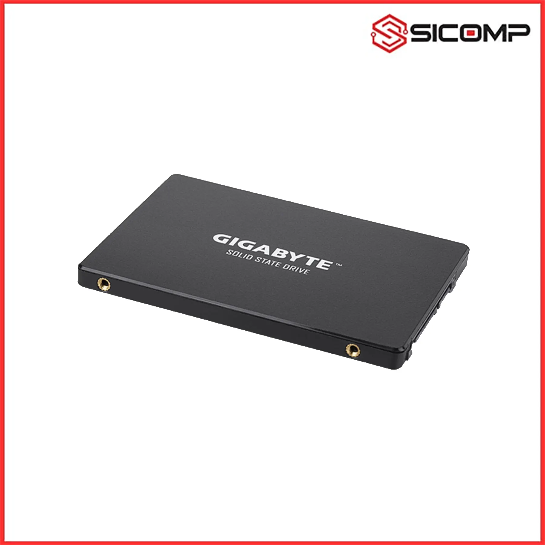 Ổ CỨNG SSD GIGABYTE GP-GSTFS31256GTND 256GB, Picture 3