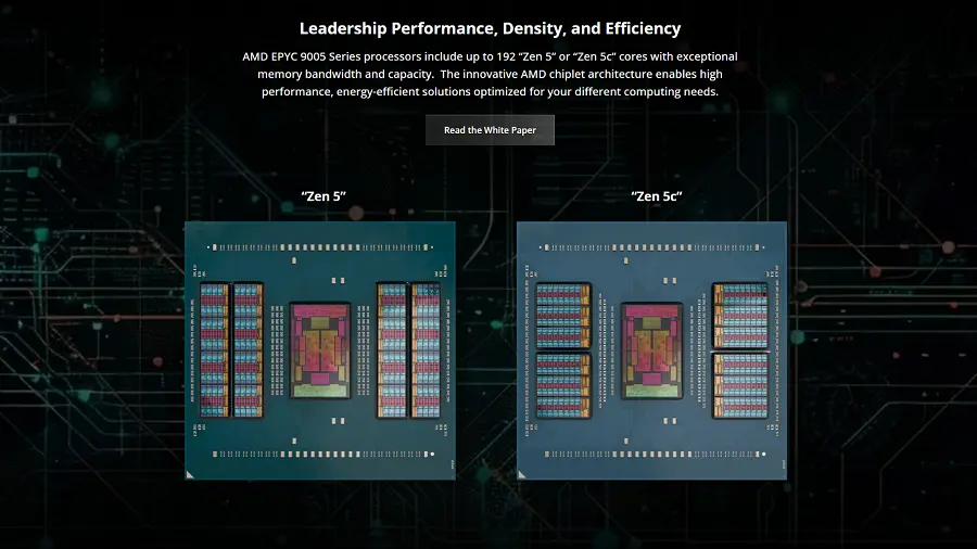 Phân tích kiến trúc Zen 5