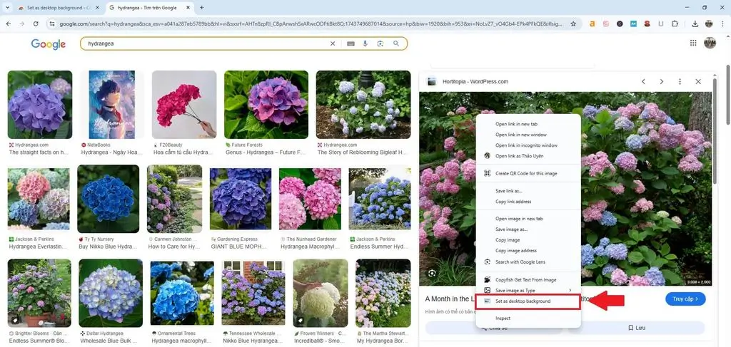 Cách đổi hình nền trực tiếp từ trình duyệt